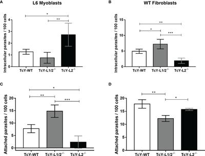 Biological and Molecular Effects of Trypanosoma cruzi Residence in a LAMP-Deficient Intracellular Environment